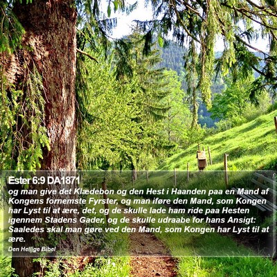 Ester 6:9 DA1871 Bible Verse Image