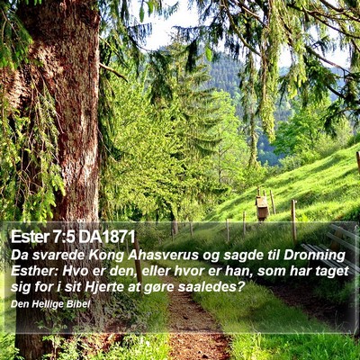 Ester 7:5 DA1871 Bible Verse Image
