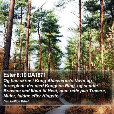 Ester 8:10 DA1871 Bible Verse Image
