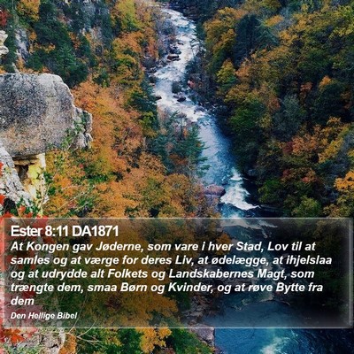 Ester 8:11 DA1871 Bible Verse Image