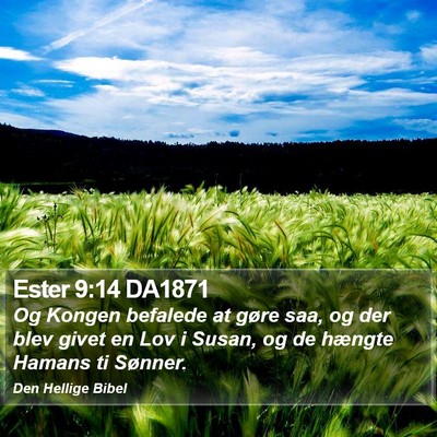 Ester 9:14 DA1871 Bible Verse Image