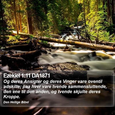 Ezekiel 1:11 DA1871 Bible Verse Image
