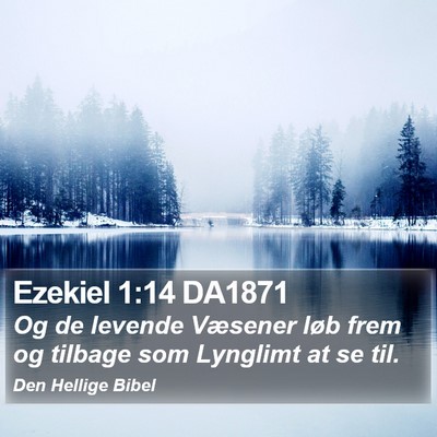 Ezekiel 1:14 DA1871 Bible Verse Image