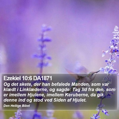 Ezekiel 10:6 DA1871 Bible Verse Image