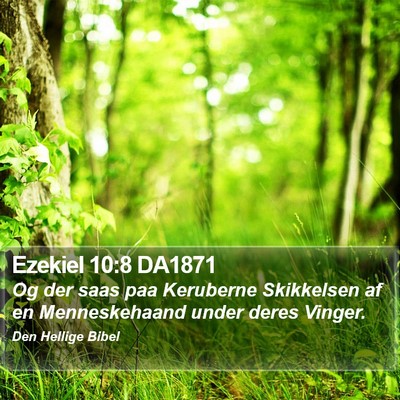 Ezekiel 10:8 DA1871 Bible Verse Image