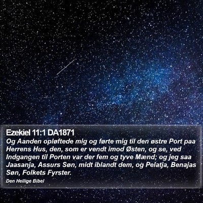 Ezekiel 11:1 DA1871 Bible Verse Image