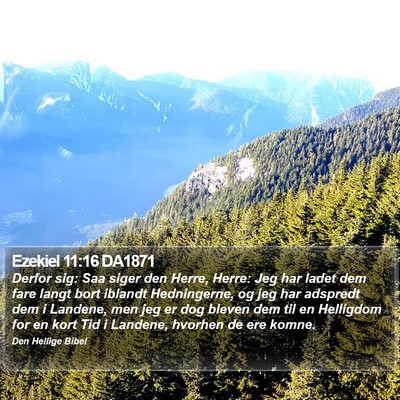 Ezekiel 11:16 DA1871 Bible Verse Image
