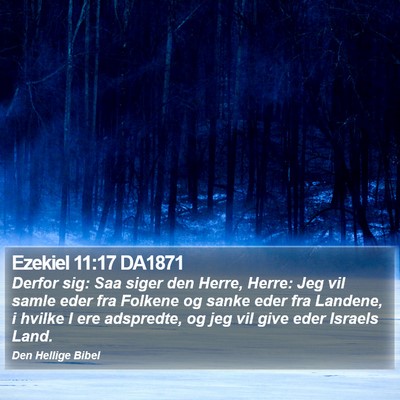 Ezekiel 11:17 DA1871 Bible Verse Image