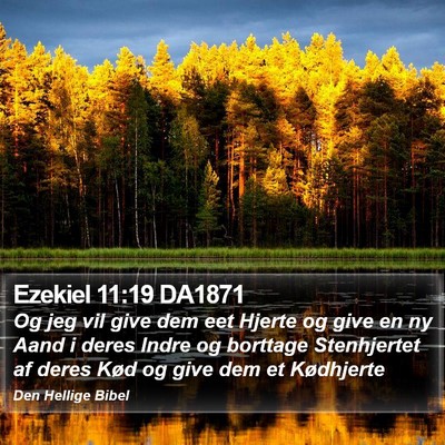Ezekiel 11:19 DA1871 Bible Verse Image