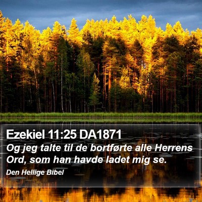 Ezekiel 11:25 DA1871 Bible Verse Image