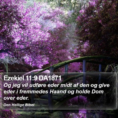 Ezekiel 11:9 DA1871 Bible Verse Image