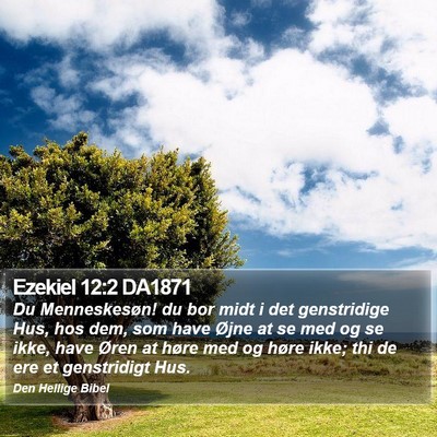 Ezekiel 12:2 DA1871 Bible Verse Image
