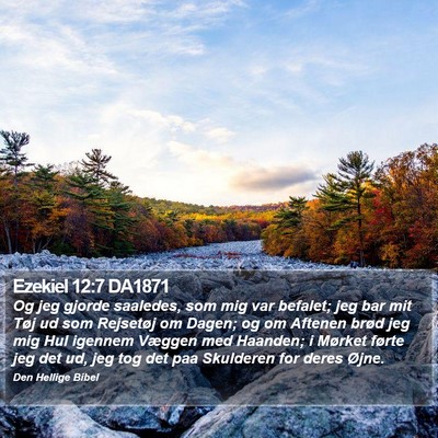 Ezekiel 12:7 DA1871 Bible Verse Image
