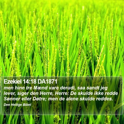 Ezekiel 14:18 DA1871 Bible Verse Image