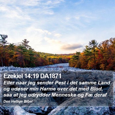 Ezekiel 14:19 DA1871 Bible Verse Image