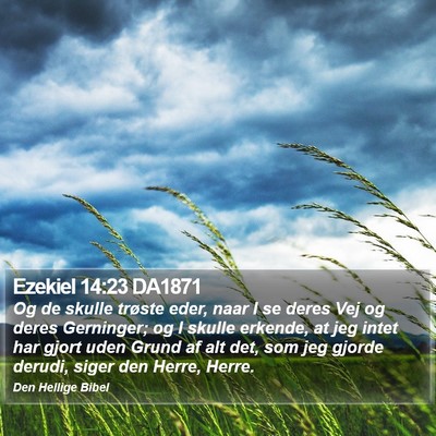 Ezekiel 14:23 DA1871 Bible Verse Image