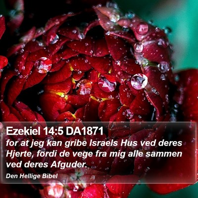 Ezekiel 14:5 DA1871 Bible Verse Image