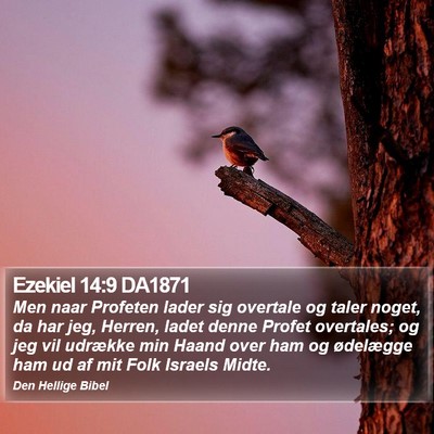 Ezekiel 14:9 DA1871 Bible Verse Image