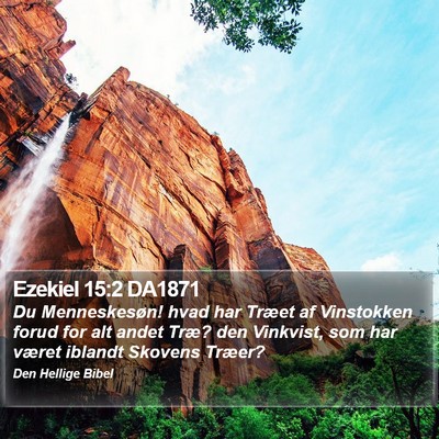 Ezekiel 15:2 DA1871 Bible Verse Image