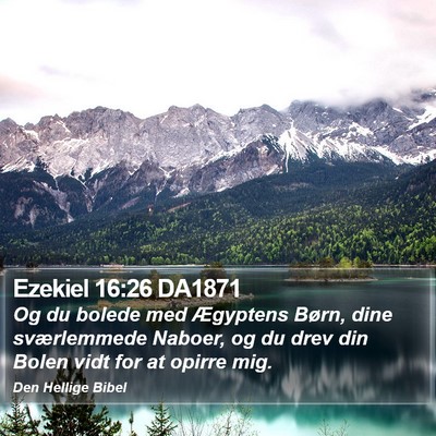 Ezekiel 16:26 DA1871 Bible Verse Image