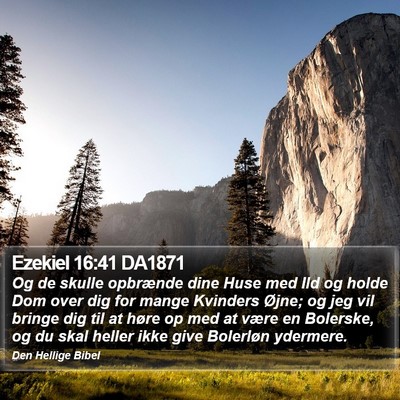 Ezekiel 16:41 DA1871 Bible Verse Image