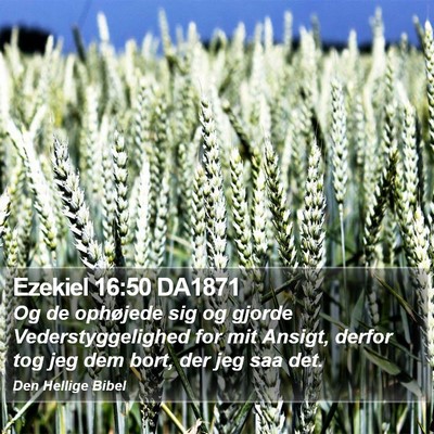 Ezekiel 16:50 DA1871 Bible Verse Image