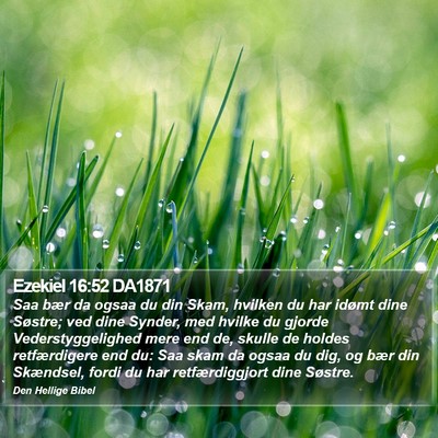 Ezekiel 16:52 DA1871 Bible Verse Image