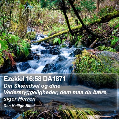Ezekiel 16:58 DA1871 Bible Verse Image