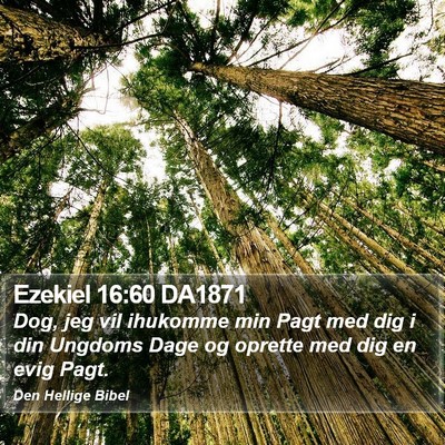 Ezekiel 16:60 DA1871 Bible Verse Image