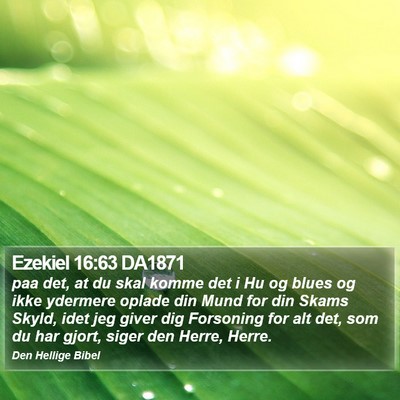 Ezekiel 16:63 DA1871 Bible Verse Image