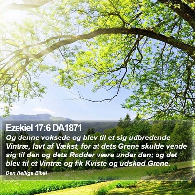 Ezekiel 17:6 DA1871 Bible Verse Image