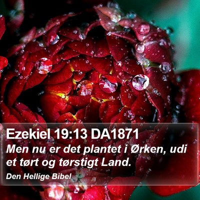 Ezekiel 19:13 DA1871 Bible Verse Image