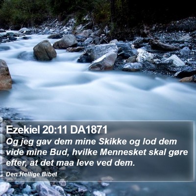 Ezekiel 20:11 DA1871 Bible Verse Image