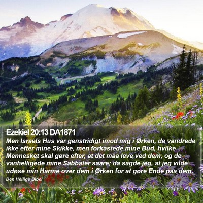 Ezekiel 20:13 DA1871 Bible Verse Image