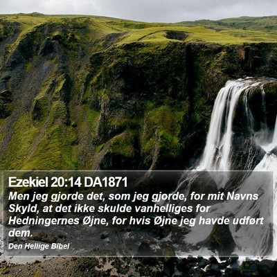 Ezekiel 20:14 DA1871 Bible Verse Image