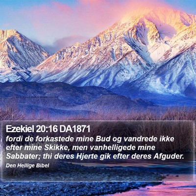 Ezekiel 20:16 DA1871 Bible Verse Image