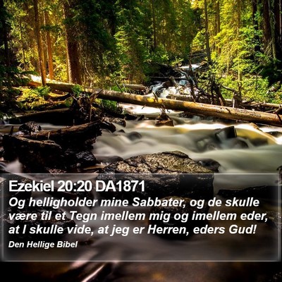 Ezekiel 20:20 DA1871 Bible Verse Image