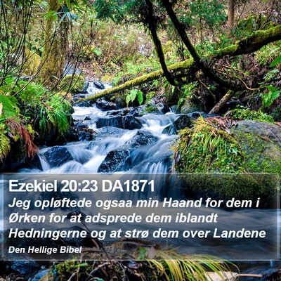 Ezekiel 20:23 DA1871 Bible Verse Image
