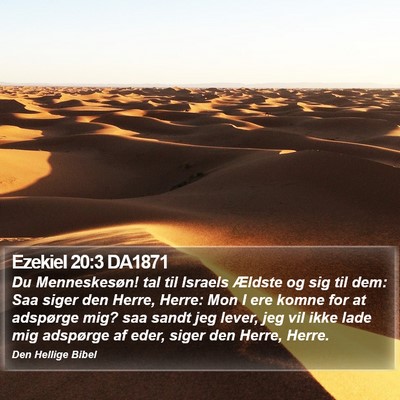 Ezekiel 20:3 DA1871 Bible Verse Image