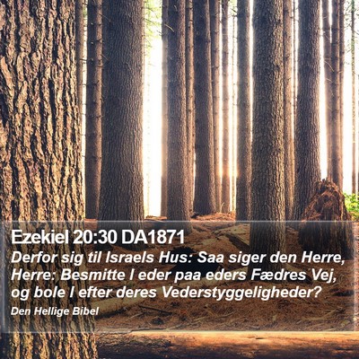Ezekiel 20:30 DA1871 Bible Verse Image