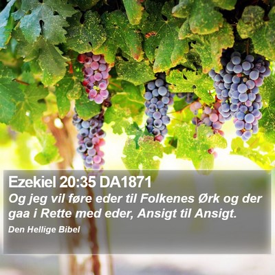 Ezekiel 20:35 DA1871 Bible Verse Image