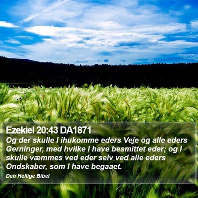Ezekiel 20:43 DA1871 Bible Verse Image