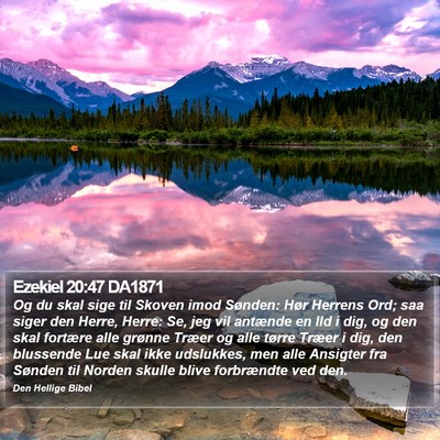 Ezekiel 20:47 DA1871 Bible Verse Image
