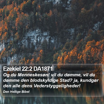 Ezekiel 22:2 DA1871 Bible Verse Image