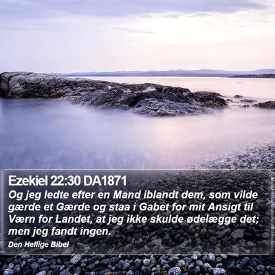 Ezekiel 22:30 DA1871 Bible Verse Image