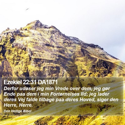 Ezekiel 22:31 DA1871 Bible Verse Image