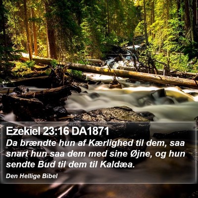 Ezekiel 23:16 DA1871 Bible Verse Image