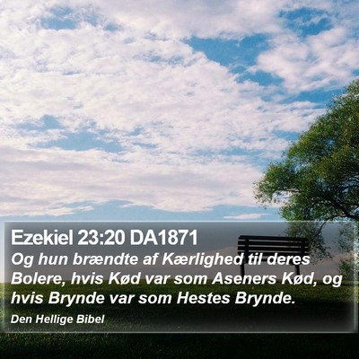 Ezekiel 23:20 DA1871 Bible Verse Image