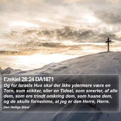 Ezekiel 28:24 DA1871 Bible Verse Image