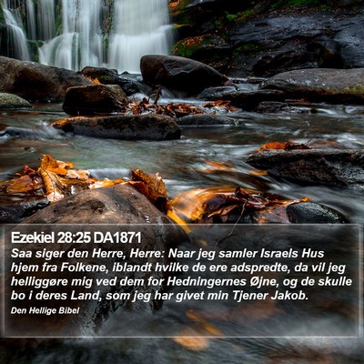 Ezekiel 28:25 DA1871 Bible Verse Image